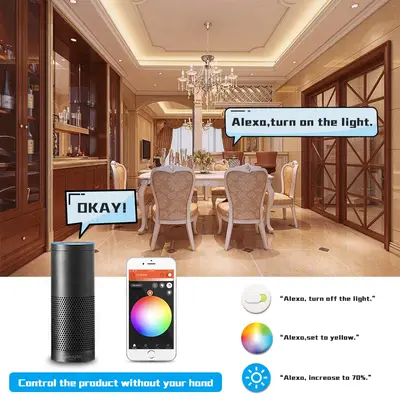 Gledopto Smart Led Alexa