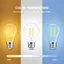 Gledopto Filament Led PRO, E27, 7W, CCT, Clear (A60), Zigbee