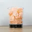 Himalaya salt lampa, nattlampa