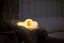 Hund silikonlampa