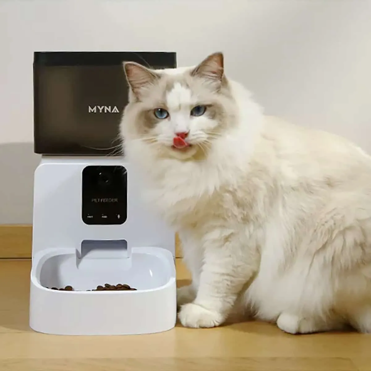 myna foderautomat 2 -