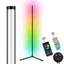 Golvlampa RGB Wifi med fjärrkontroll