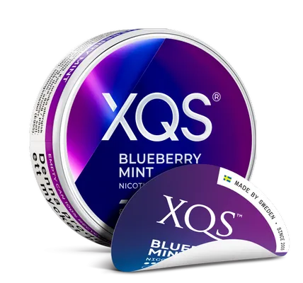 XQS - Blueberry Mint Strong - Slim (8 mg/portion)