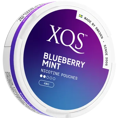 XQS – Blueberry Mint – Slim (4 mg/portion)