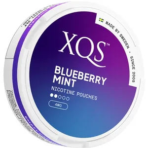 XQS - Blueberry Mint - Slim (4 mg/portion)