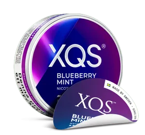 XQS - Blueberry Mint Strong - Slim (8 mg/portion)